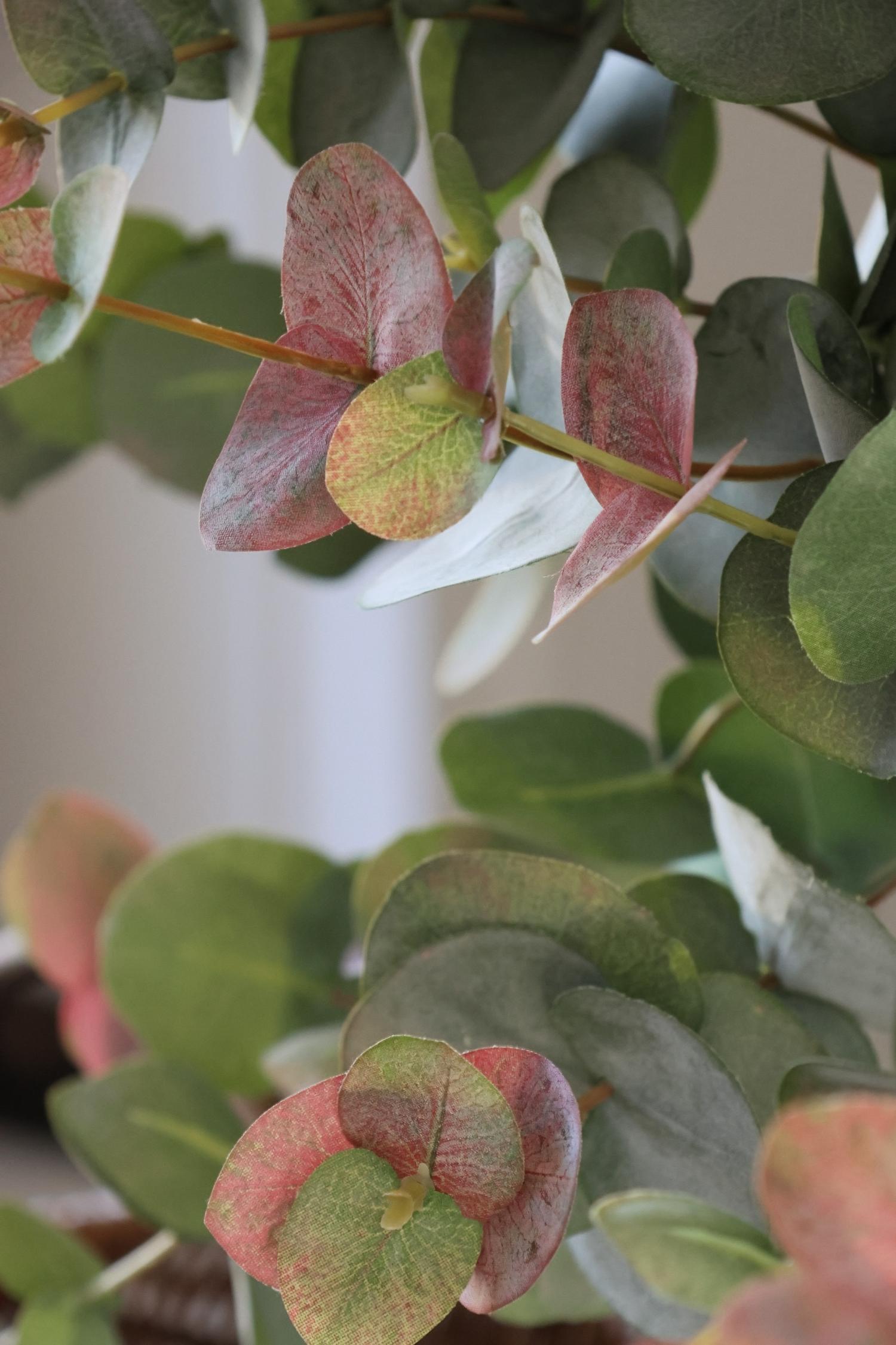 Close-up of an artificial blush eucalyptus branch with round, dusty green leaves showing pinkish-red undersides.