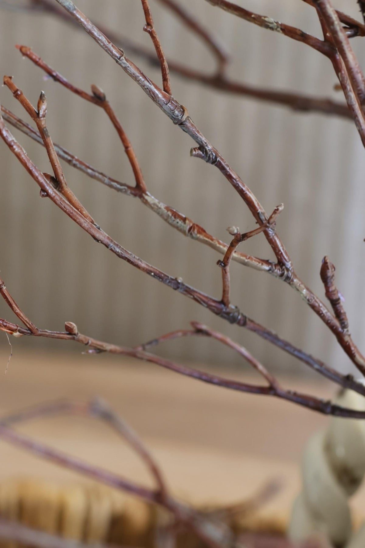 Close-up of thinartificial  reddish-brown twig branches with small buds, arranged against a softly blurred beige background.