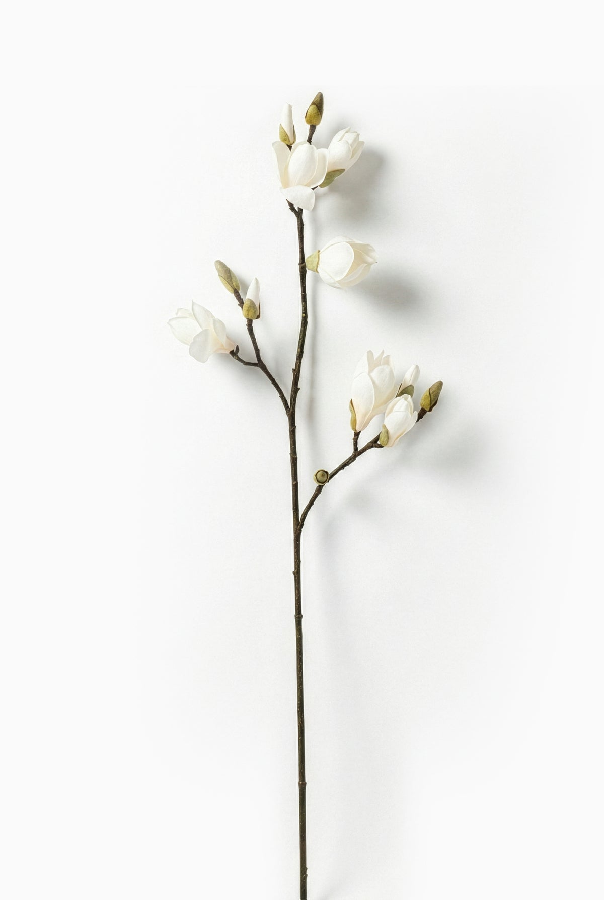 Artificial white magnolia branch on a light gray background