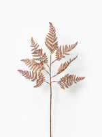 Autumn Bracken