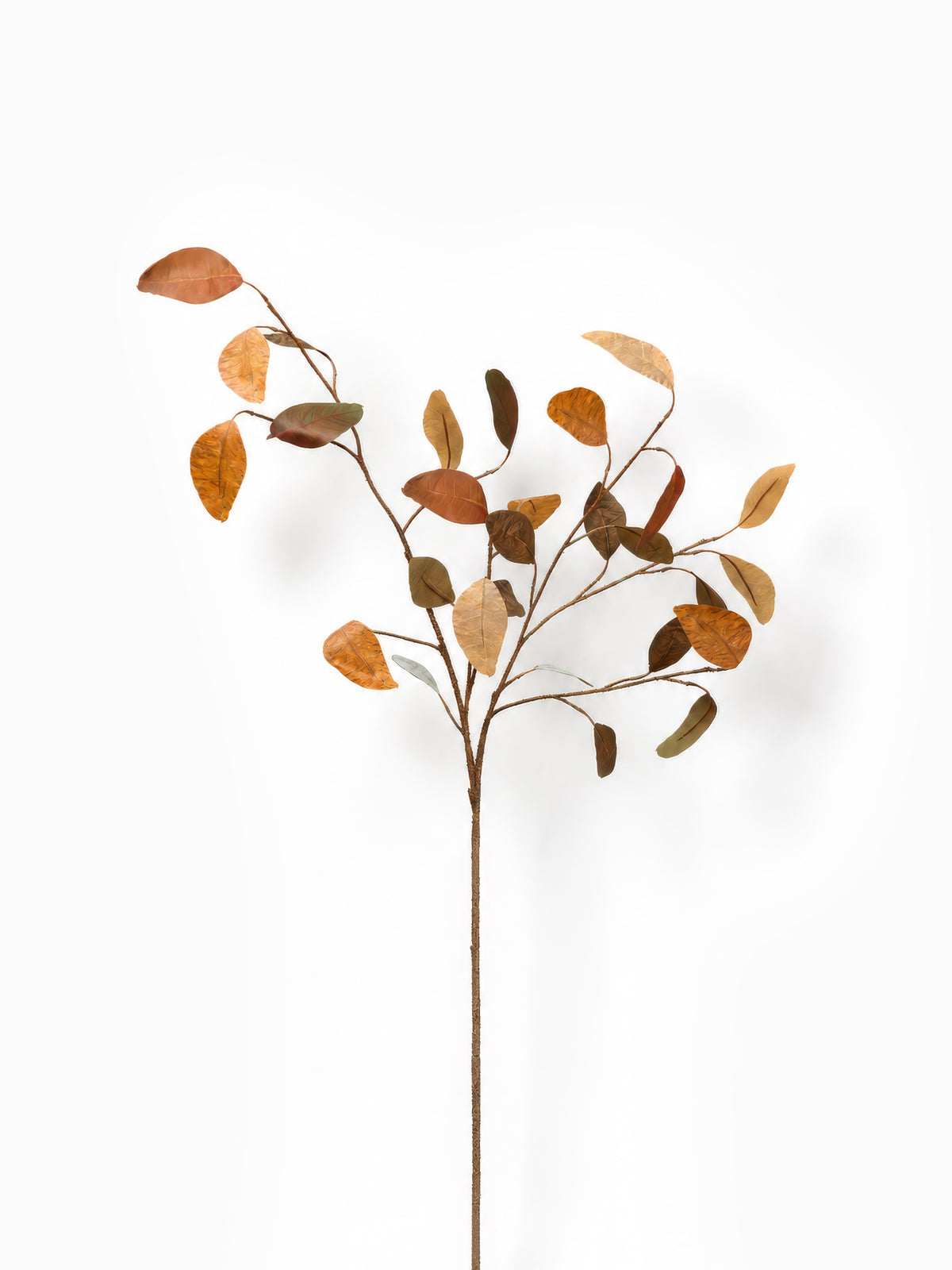 Autumn Populus
