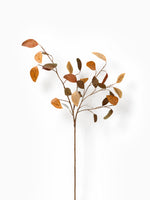 Autumn Populus