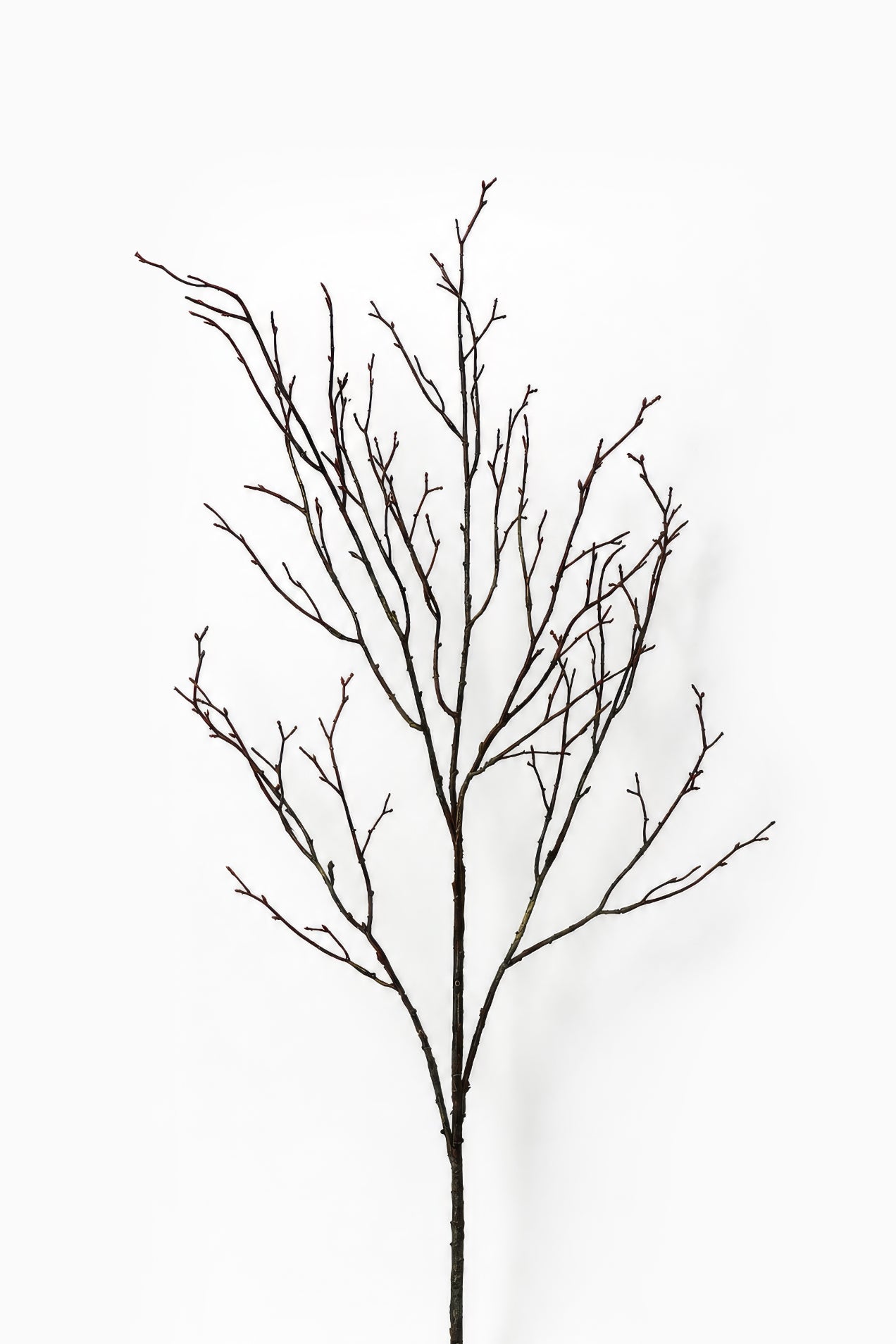 Artificial dark brown Branch on white background 