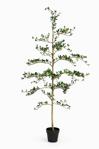Faux Black Olive Tree - 190cm