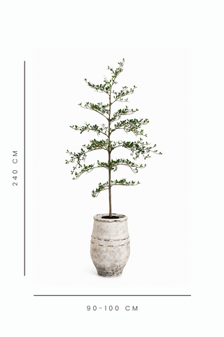 Faux Black Olive Tree - 190cm