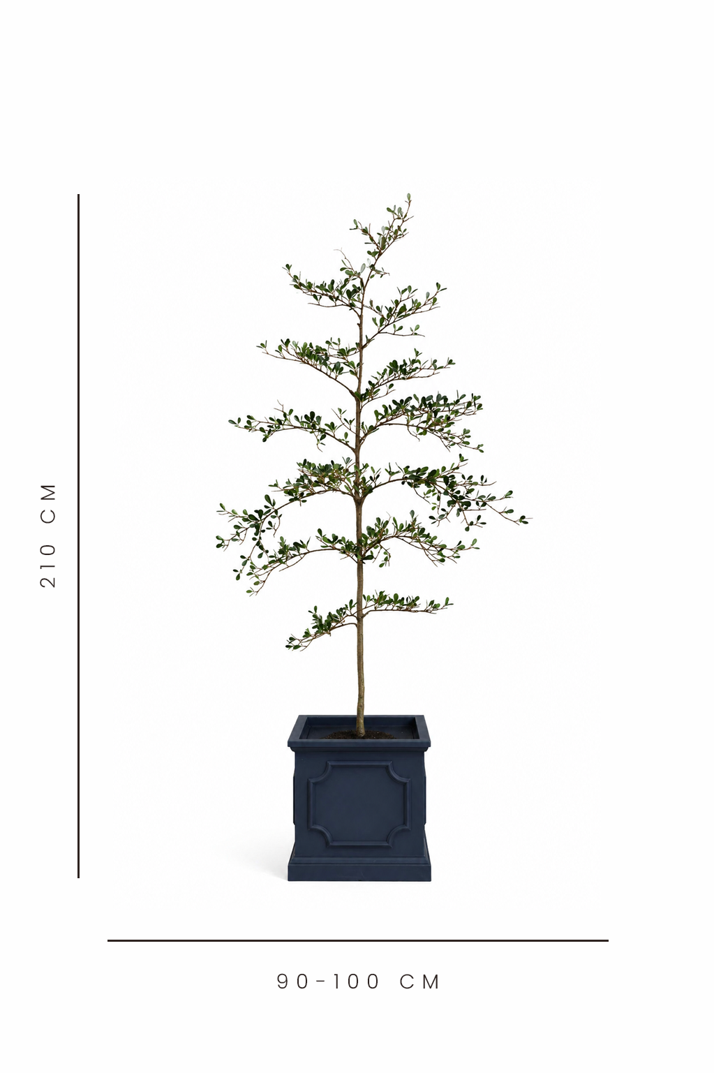 Potted faux tree with dimensions indicated on a white background