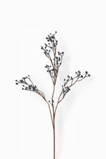 Blue Berry Branch