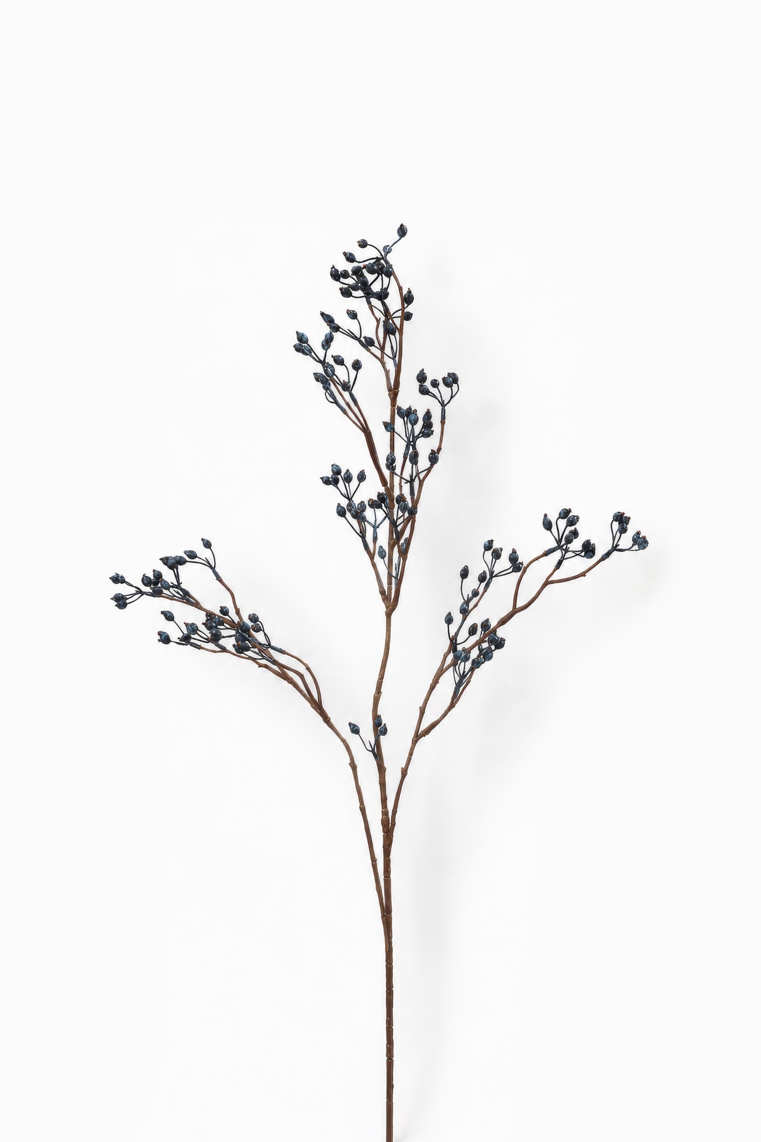 Blue Berry Branch