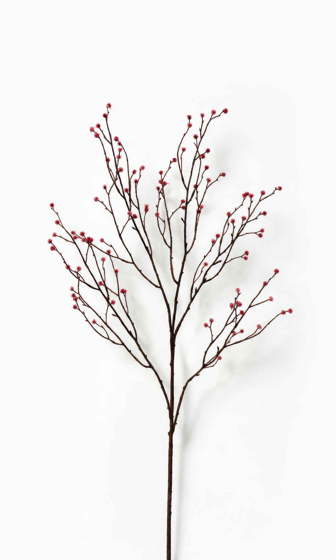 Artificial Autumn brown branch with blush pink buds on a white background 