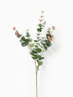 Blush Eucalyptus