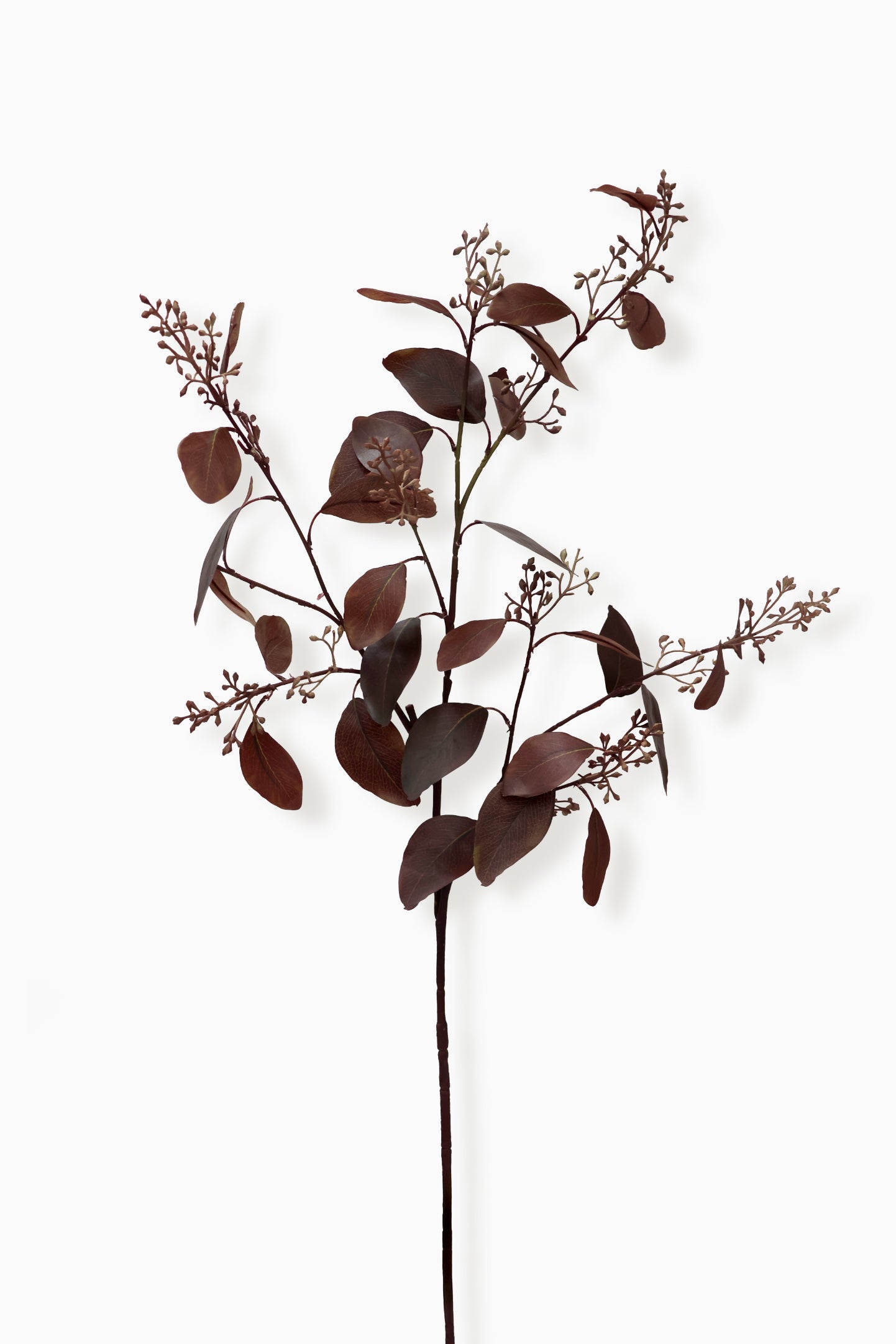 Artificial deep Burgundy Eucalyptus stem on a white background 