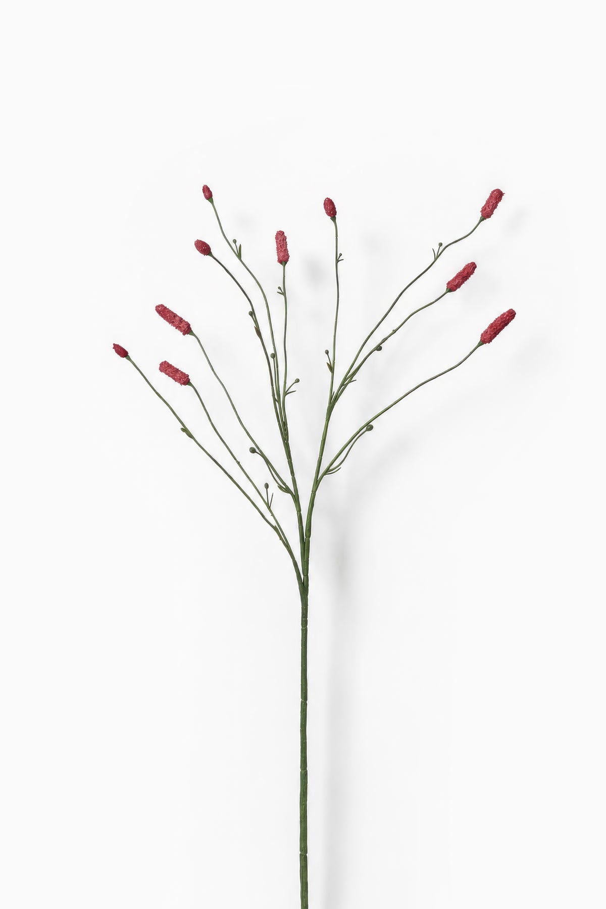 Burnet Spray