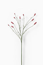 Burnet Spray