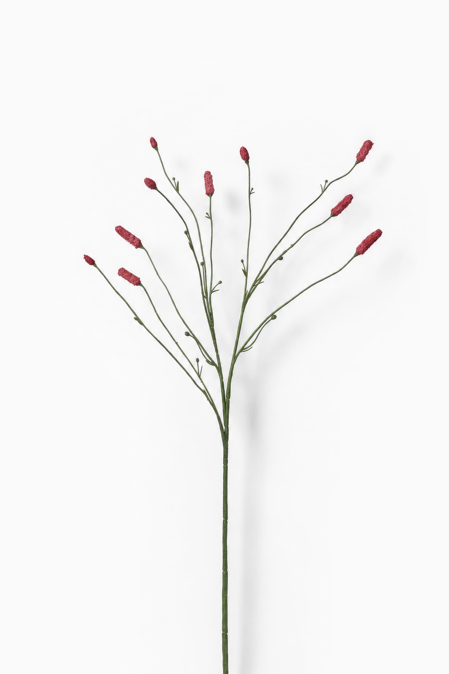 Burnet Spray