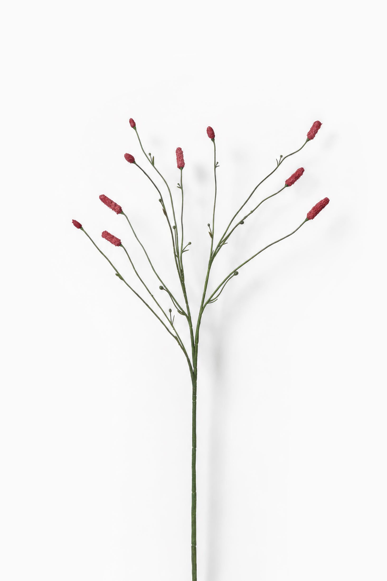 Burnet Spray