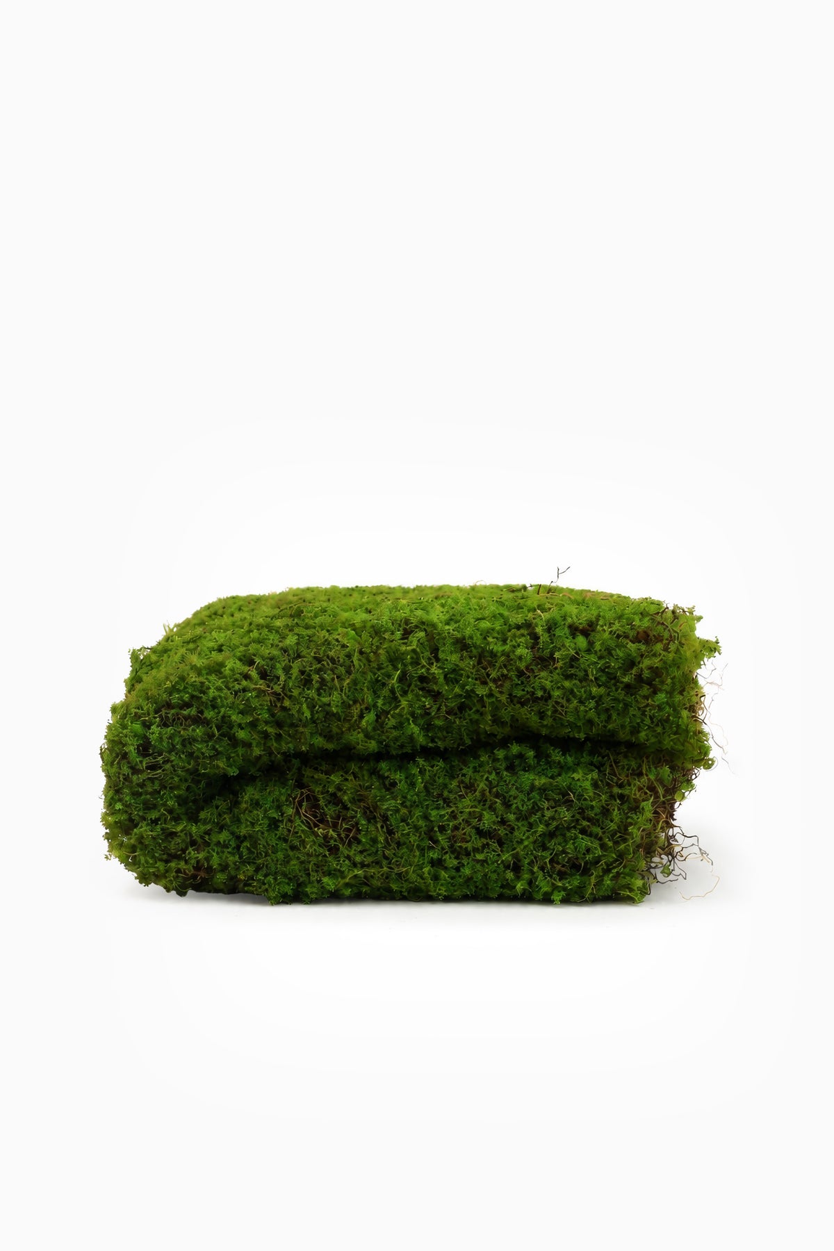 Faux Carpet Moss