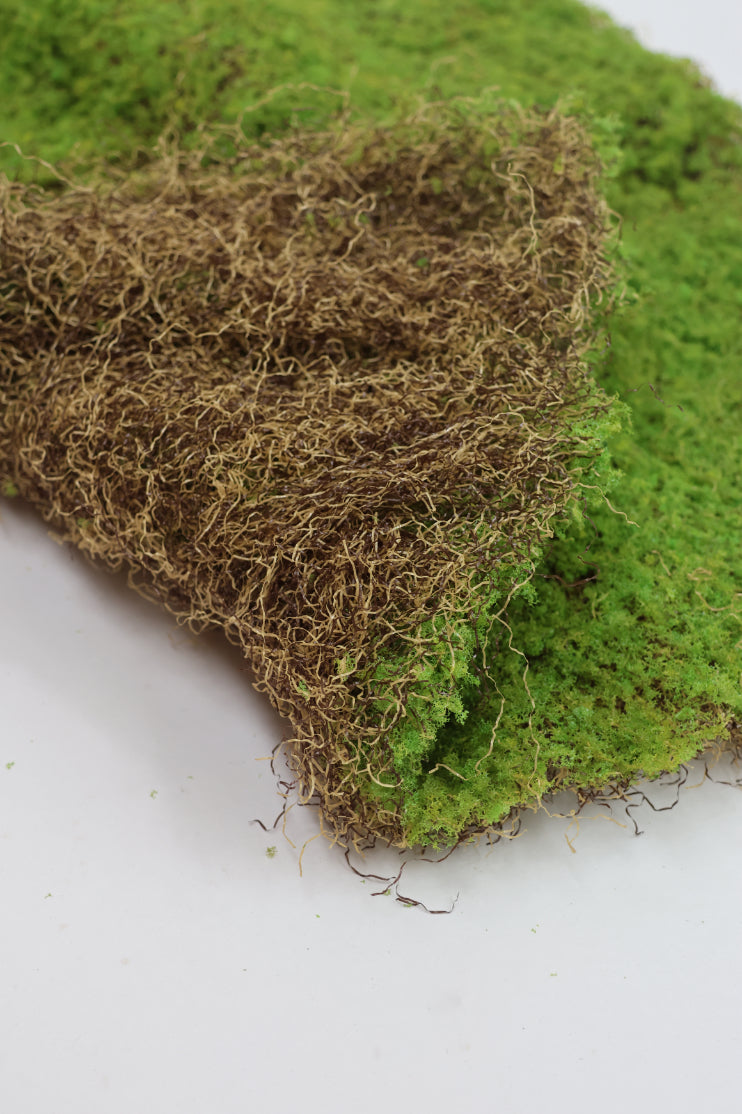 Faux Carpet Moss