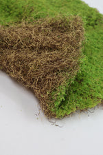 Faux Carpet Moss