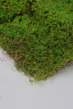 Artificial Carpet Moss