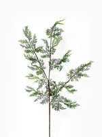 Cedar Branch