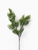 Cypress Branch