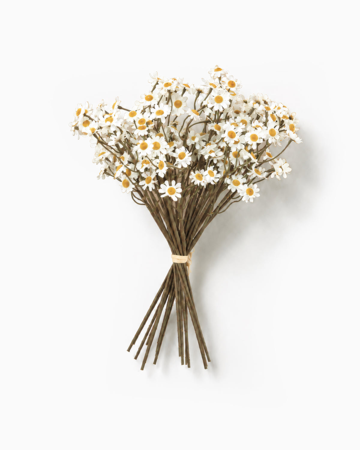 Daisy Bunch