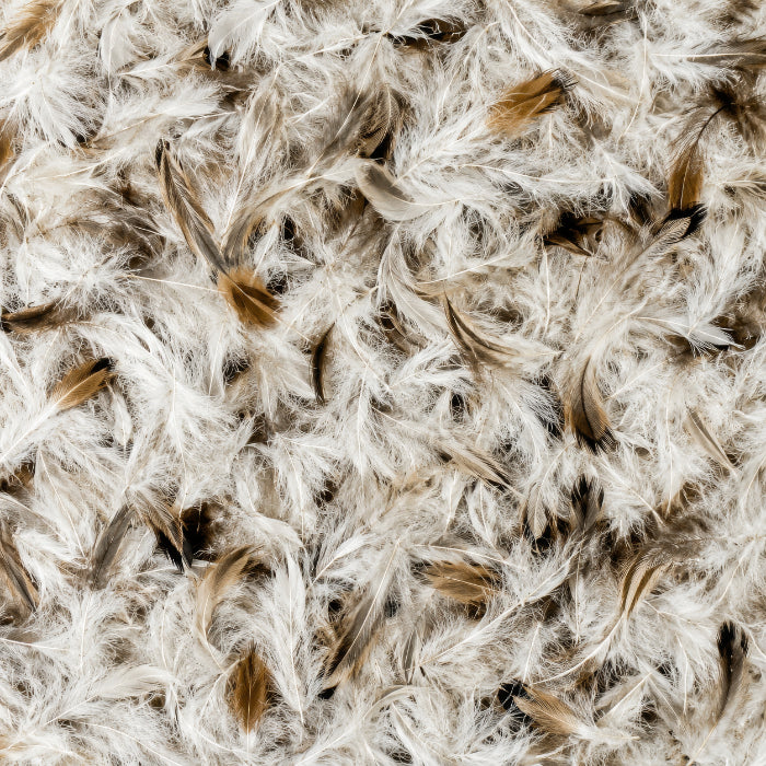 Duck Feather Filled Cushion Inner - 60 x 60cm
