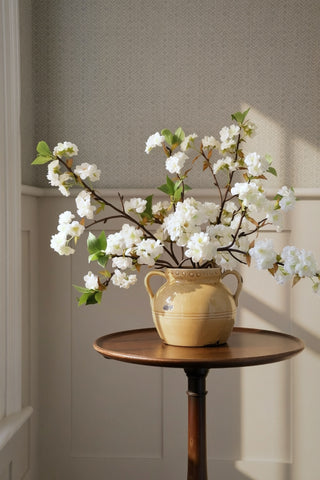 The Pear Blossom & Vase Gift Bundle