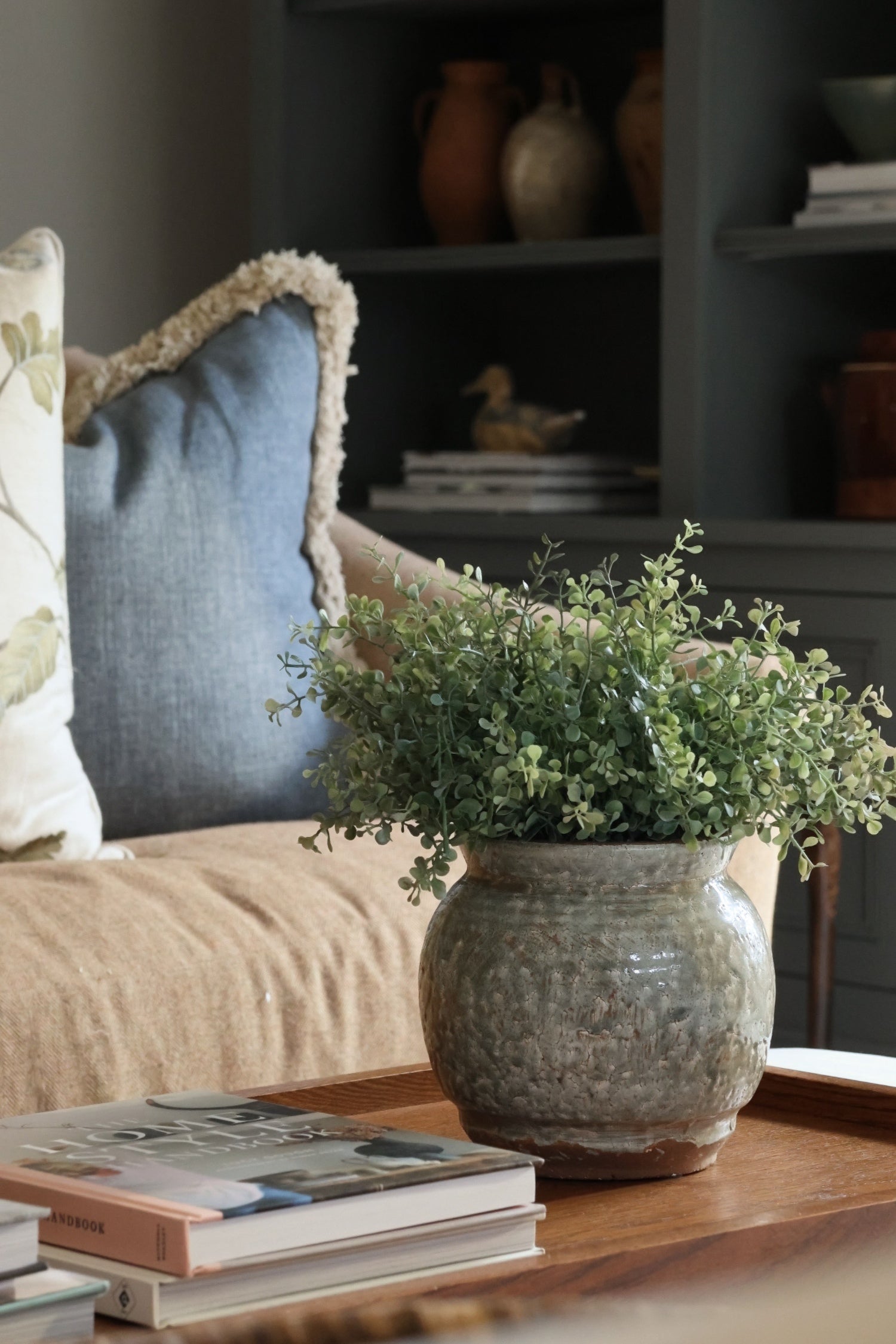 The Eucalyptus Bush & Pot Gift Bundle
