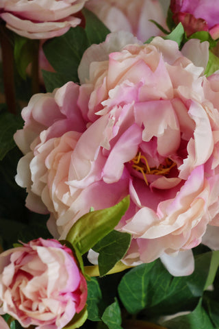 Faux Blush Peony Bouquet - 10 x Stems