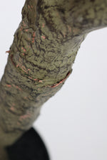 Faux Olive Tree