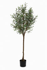 Faux Sample Olive Tree