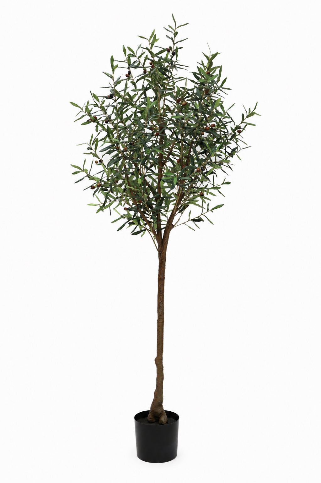 Faux Sample Olive Tree
