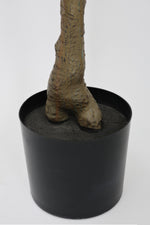 Faux Sample Olive Tree