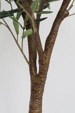 Faux Sample Olive Tree