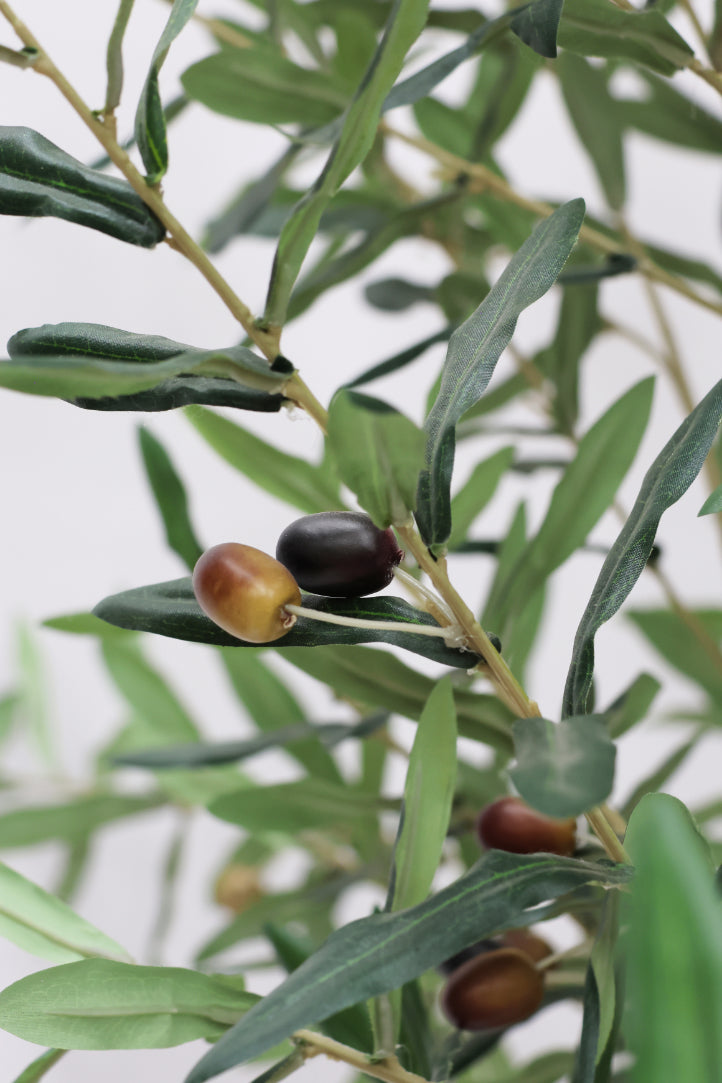 Faux Sample Olive Tree