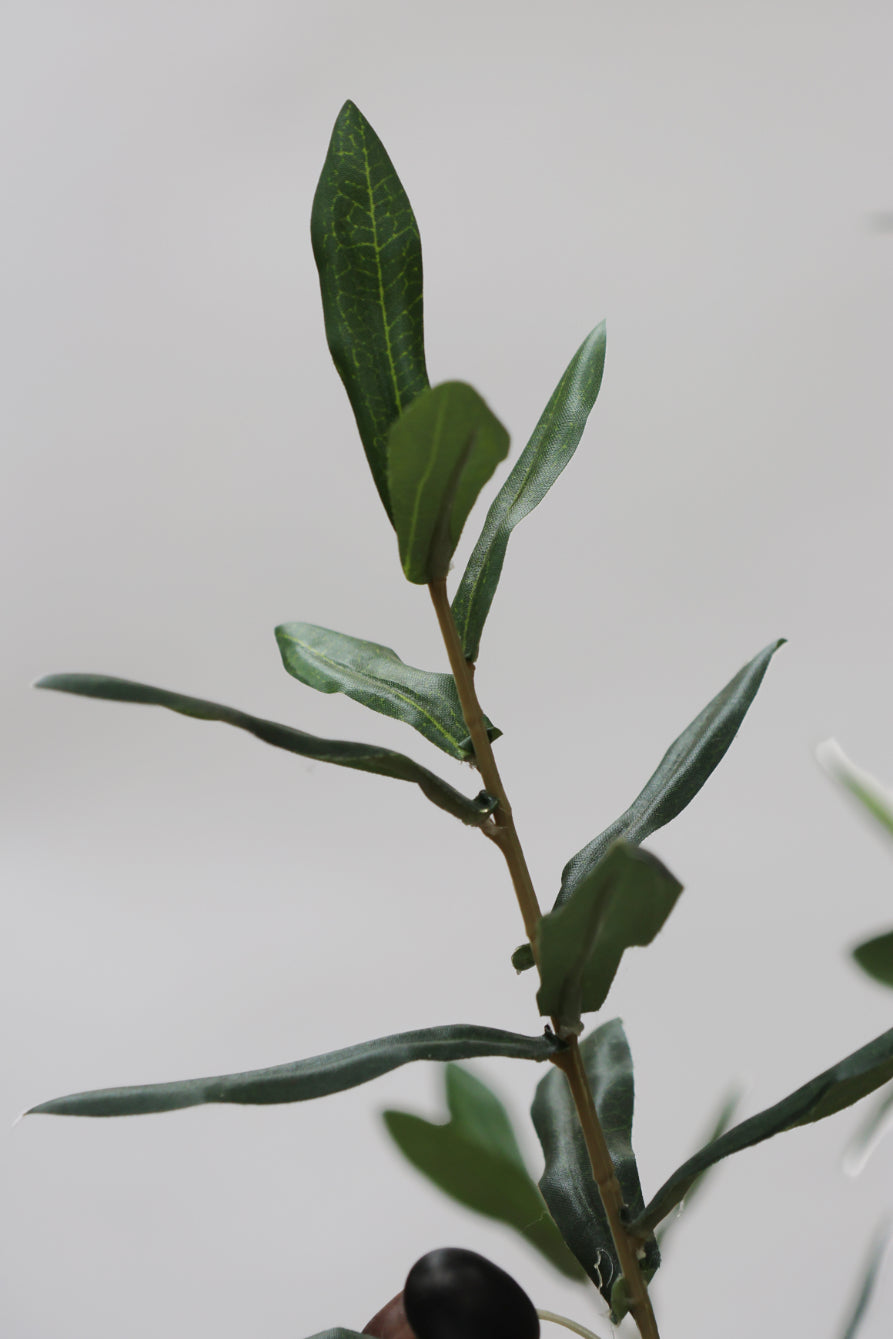Faux Sample Olive Tree