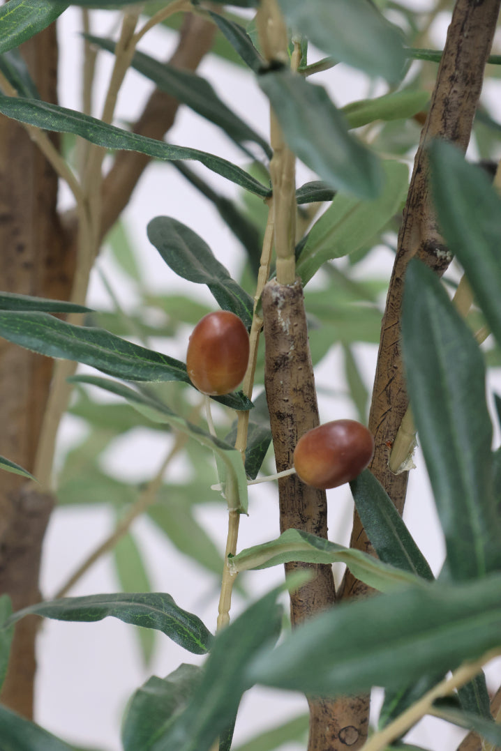 Faux Sample Olive Tree