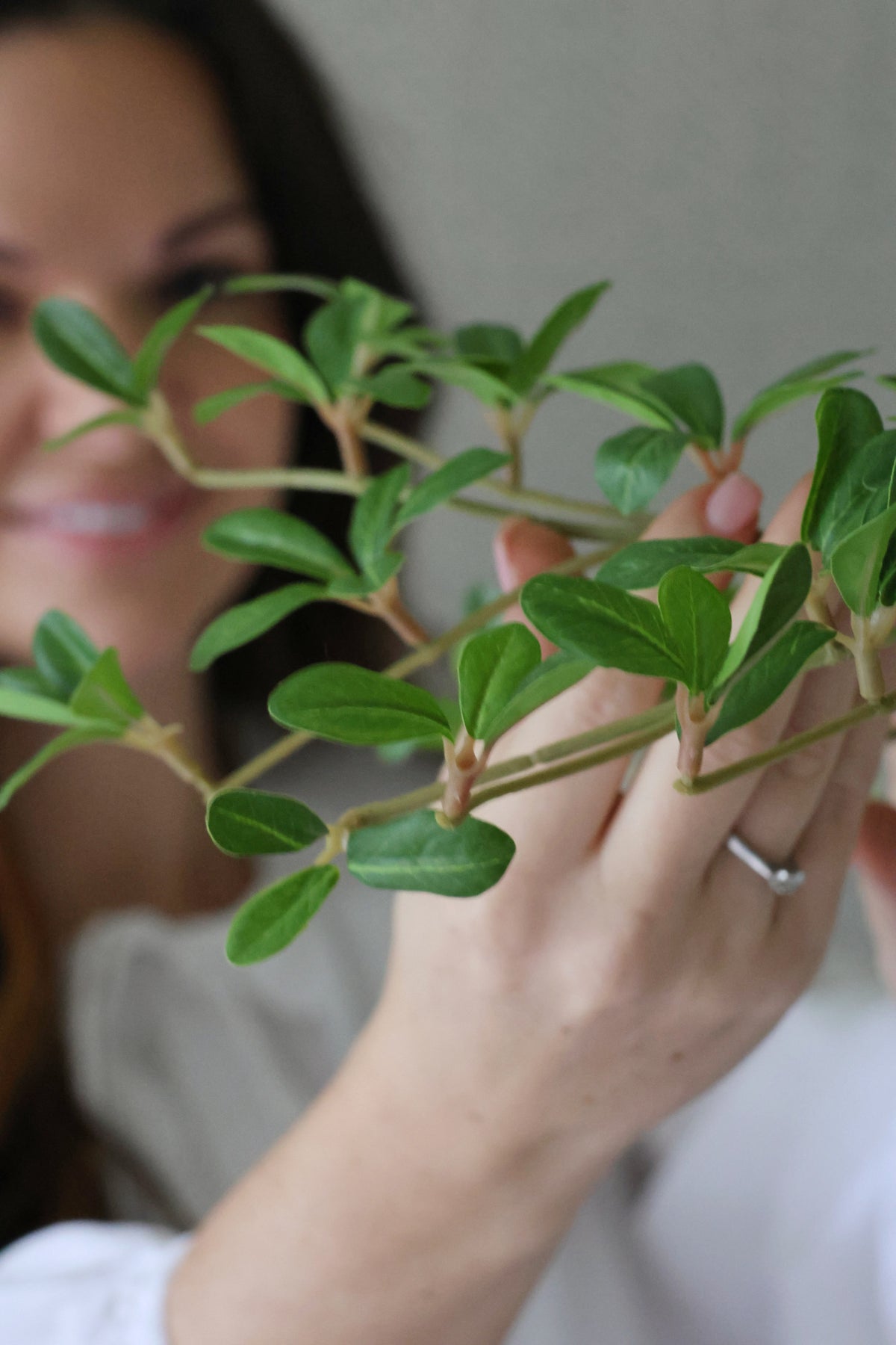 Person holding an artiificial green leafy branch with a blurred background