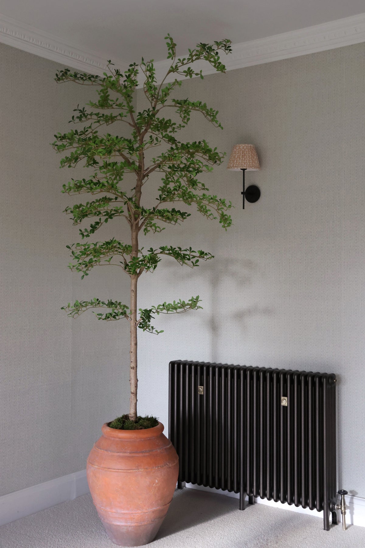 Artificial shady lady tree in large terracotta planter pot next to a black radiator against a light gray wall.