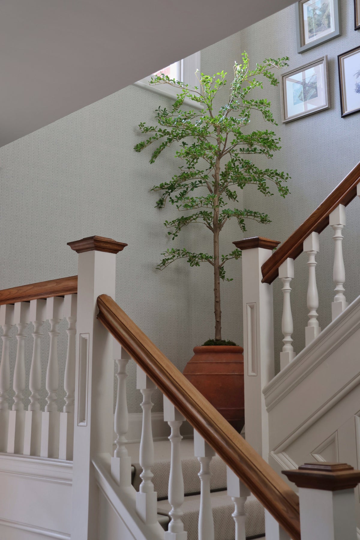 grand staircase with a large artificial shady lady tree in the center