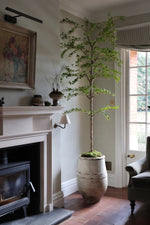 Living room with a fireplace, potted artificial shady lady tree, and a painting on the wall.