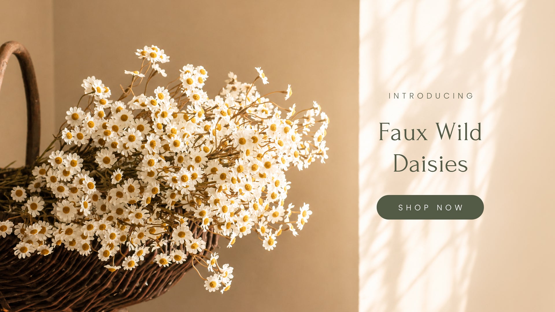 Basket of faux wild daisies with a beige background and 'Shop Now' button.