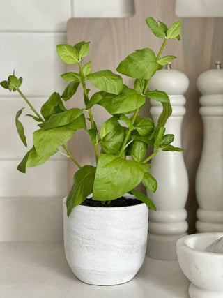 Faux Potted Basil Plant