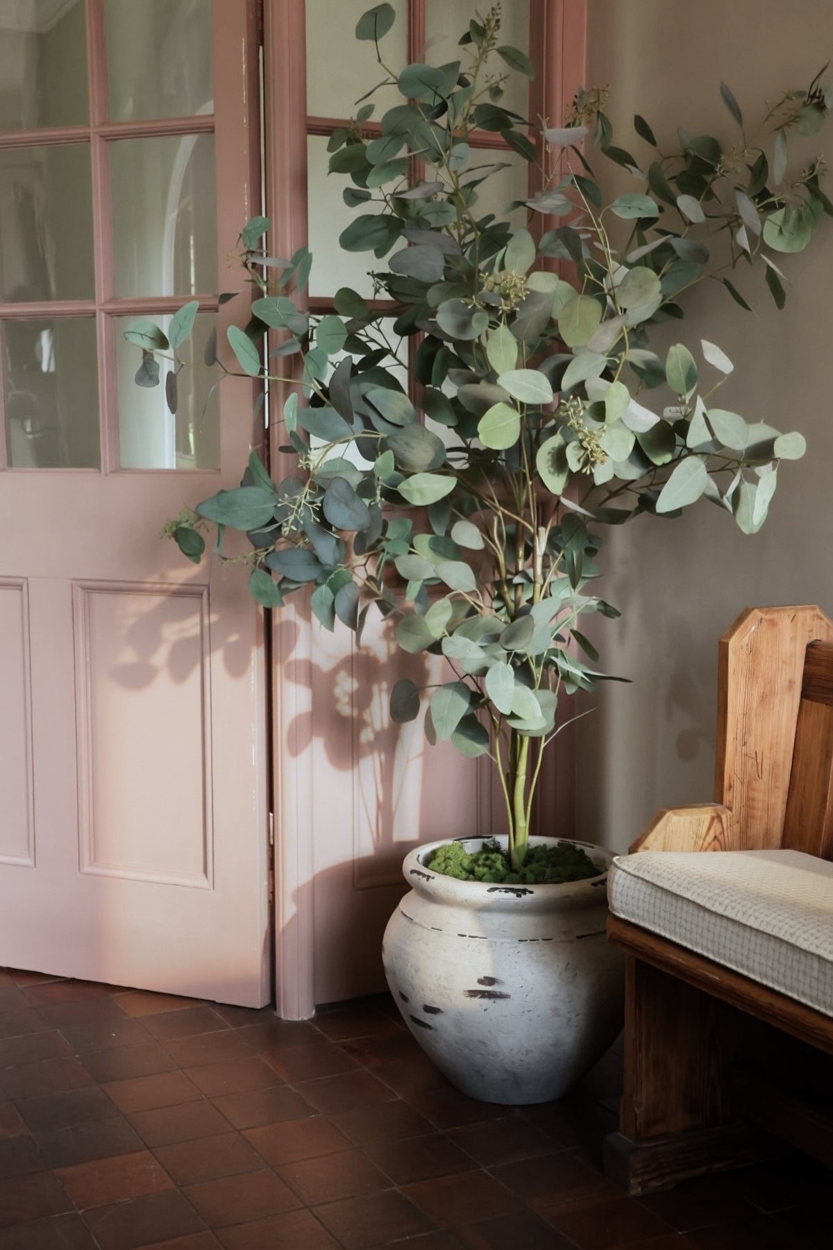 Faux eucalyptus tree in ultra-lite barrow with faux carpet moss in a hallway