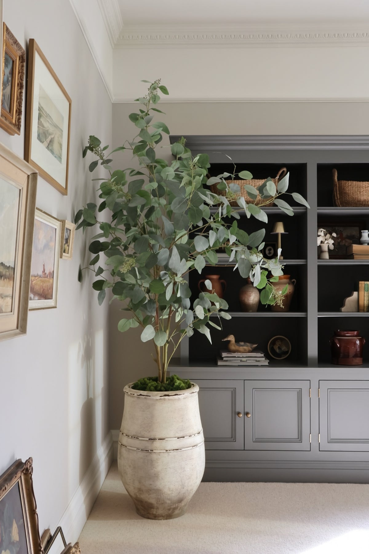 Potted Faux eucalyptus tree in ultra-lite bucklesham planter in a room with gray cabinets and framed pictures on the wall.