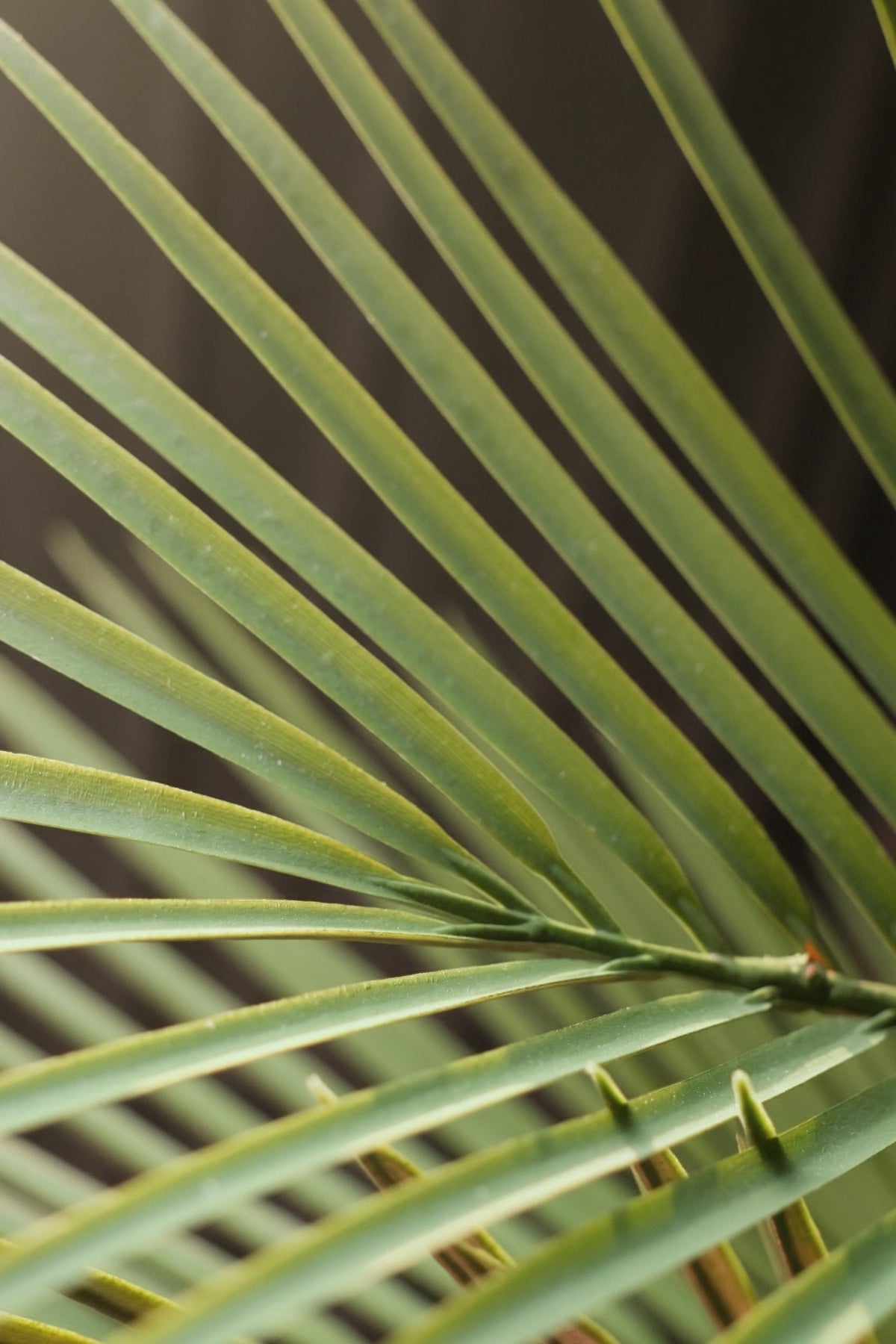Close-up of a faux palm leaf with detailed texture