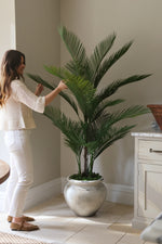 Faux palm tree 180cm in ultra-lite barrown planter in kitchen with lady arranging the leaves 