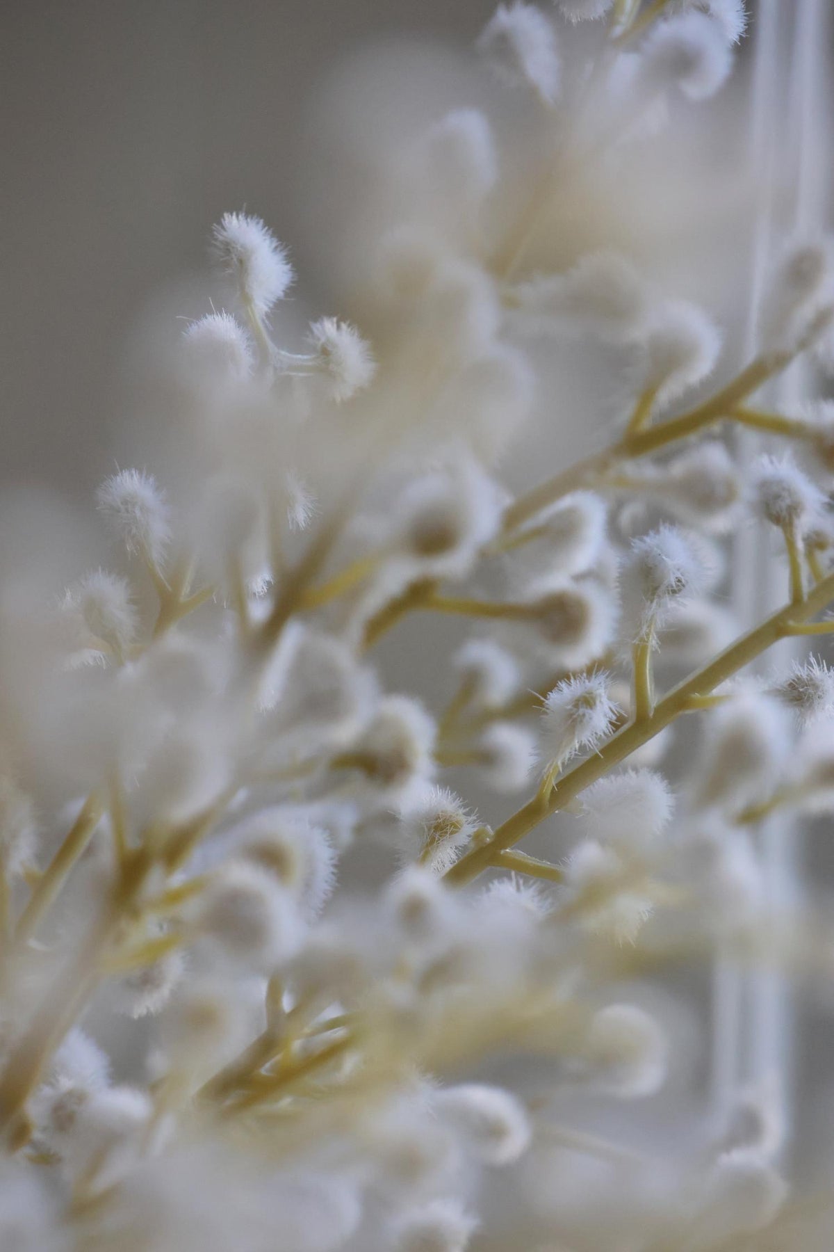Faux white willow spray close up details of white buds 