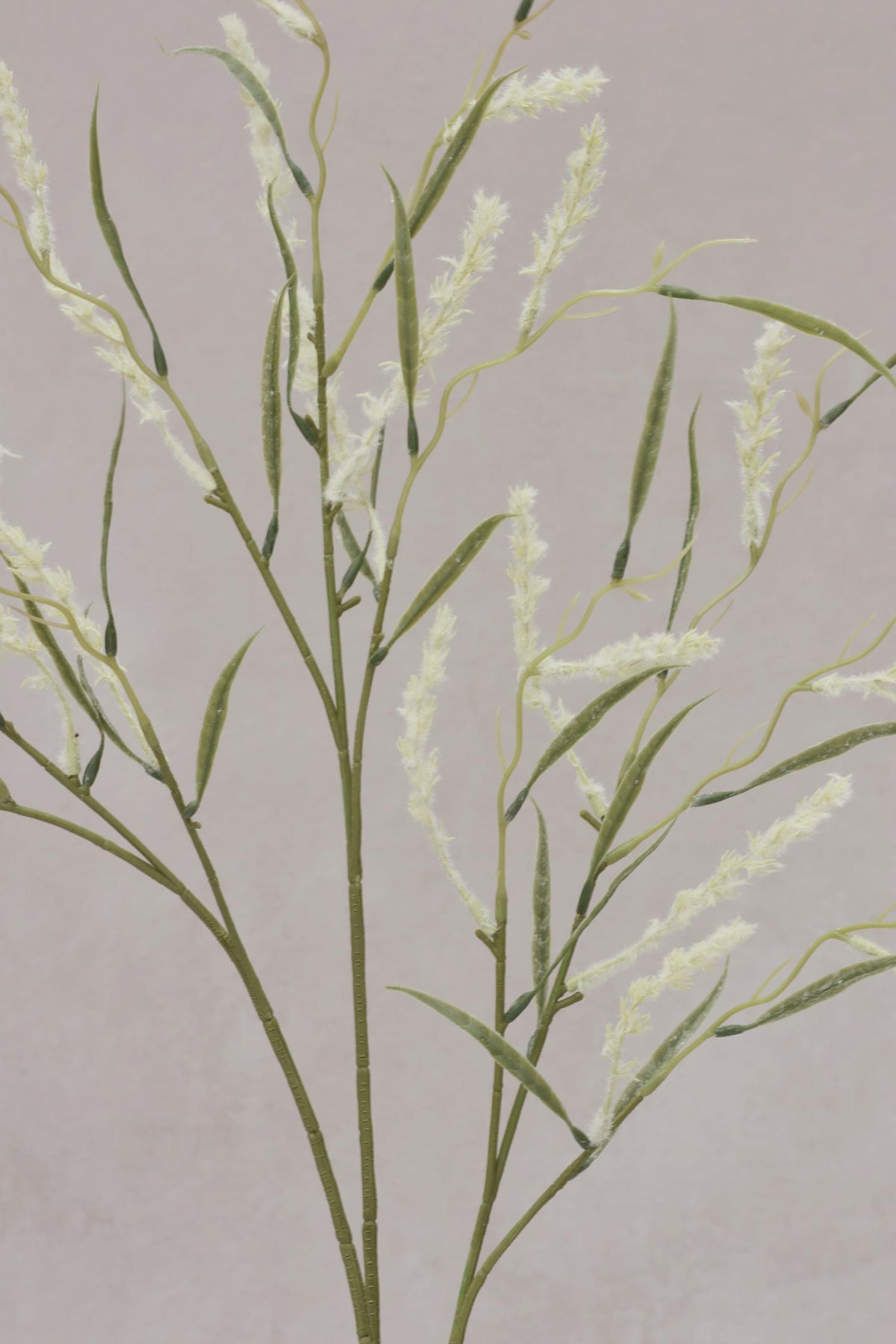 faux wild grass stem with cream seed heads on pale grey background